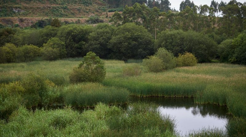 Aminer alcanza las 90 entidades asociadas con la incorporación de Cobre San Rafael