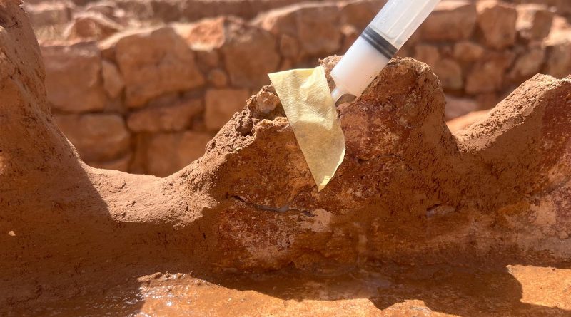 JARQUIL culmina con éxito la restauración de las pinturas murales de las termas romanas en el yacimiento de Ciavieja